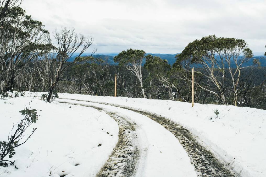 Snow on Mt Franklin in the Brindabellas on Wednesday April 8.  Photo: Rohan Thomson