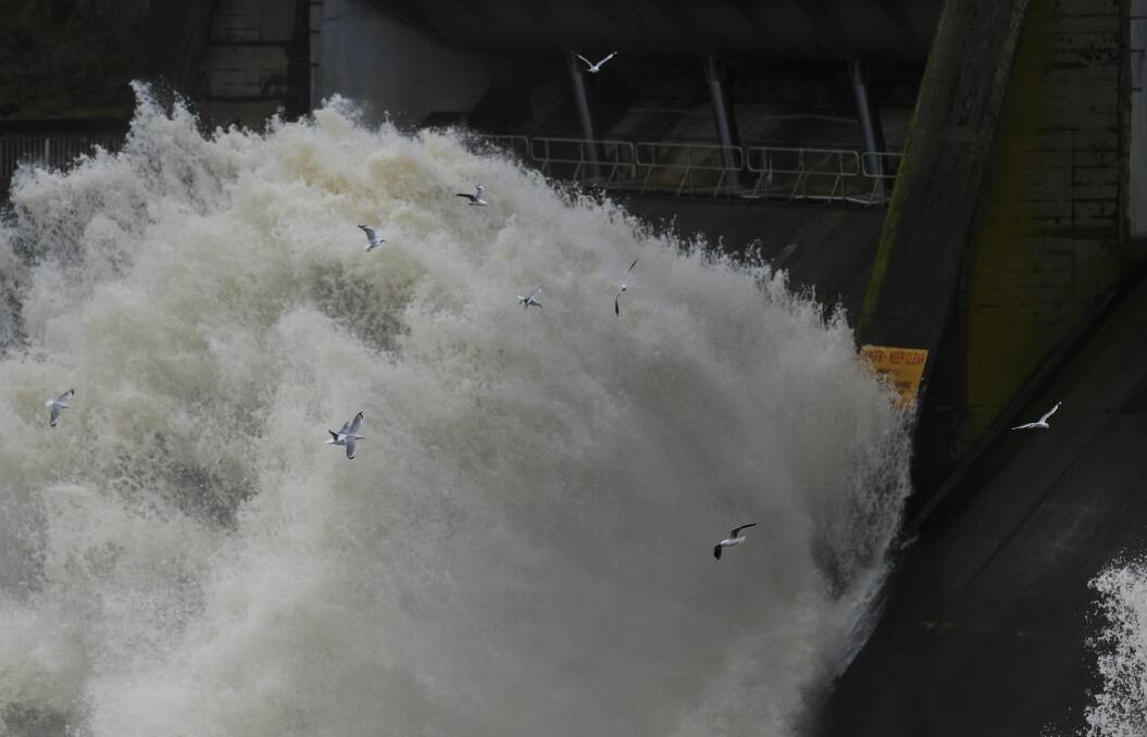 Seagulls playing and looking for food as water is released at Scrivener Dam on Friday. Photo: Graham Tidy.