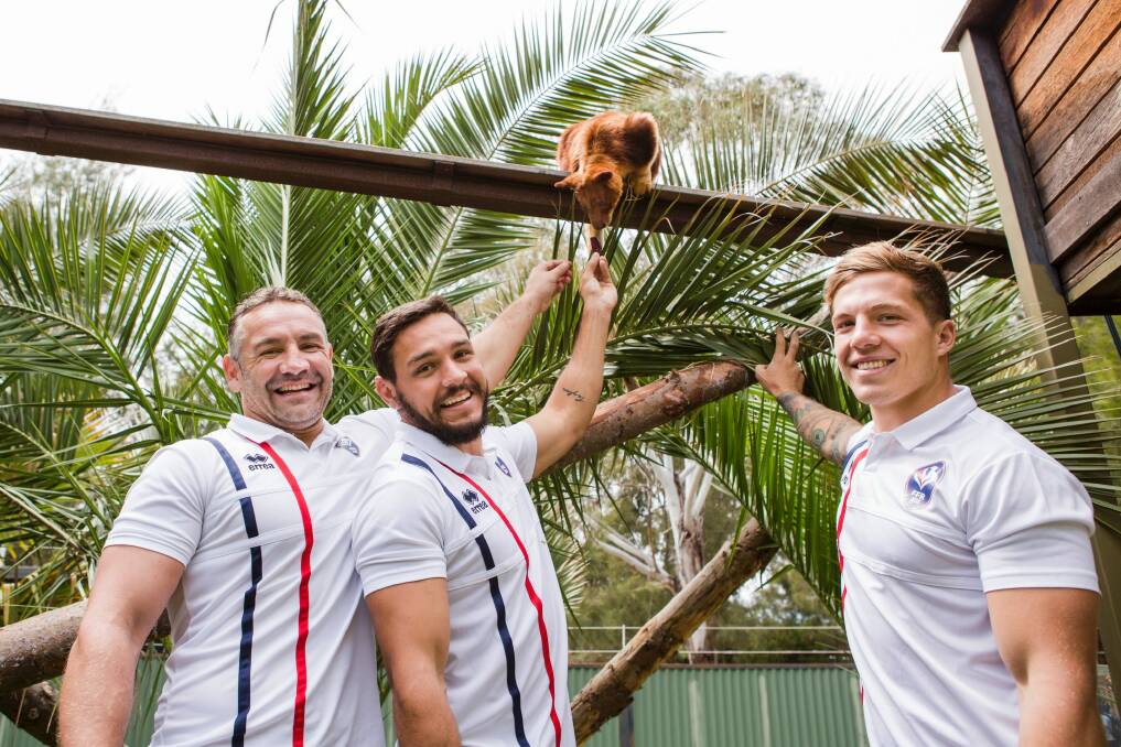 The French rugby league team get up and close with Australia's native animals at the National Zoo and Aquarium. Coach Aurelien Cologni, Mark Kheirallah, and captain Theo Fages  with Kubu a Goodfellow's Tree Kangaroo. Photo: Jamila Toderas