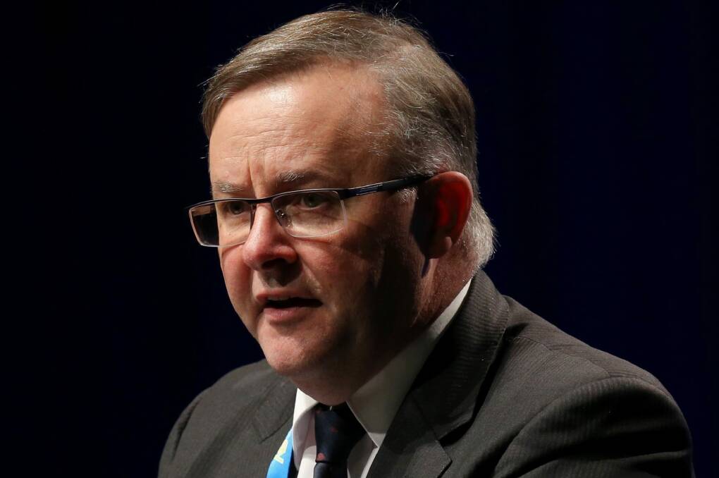 The proposed changes have prompted Labor frontbencher Anthony Albanese to consider switching from the neighbouring seat of Grayndler to challenge for Barton. Photo: Andrew Meares