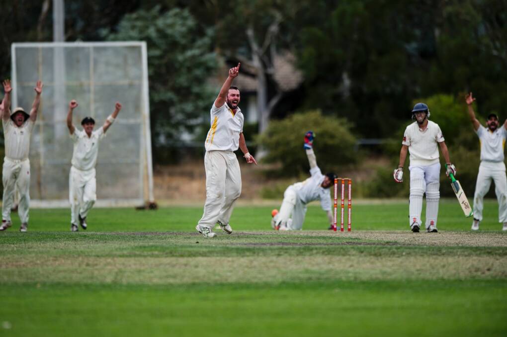 Cricket ACT Douglas Cup: Ginninderra v Queanbeyan. Ginninderra's Mick Delaney celebrates the wicket, as Queanbeyan's James Dimarchos gets out. Photo: Jamila Toderas Photo: Jamila Toderas