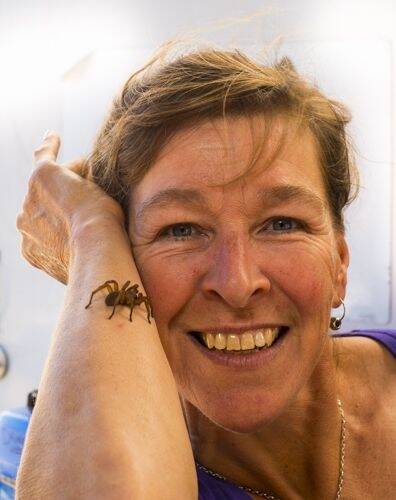 Leslie Carr and a brush footed trapdoor spider. Photo: Gary Cranich