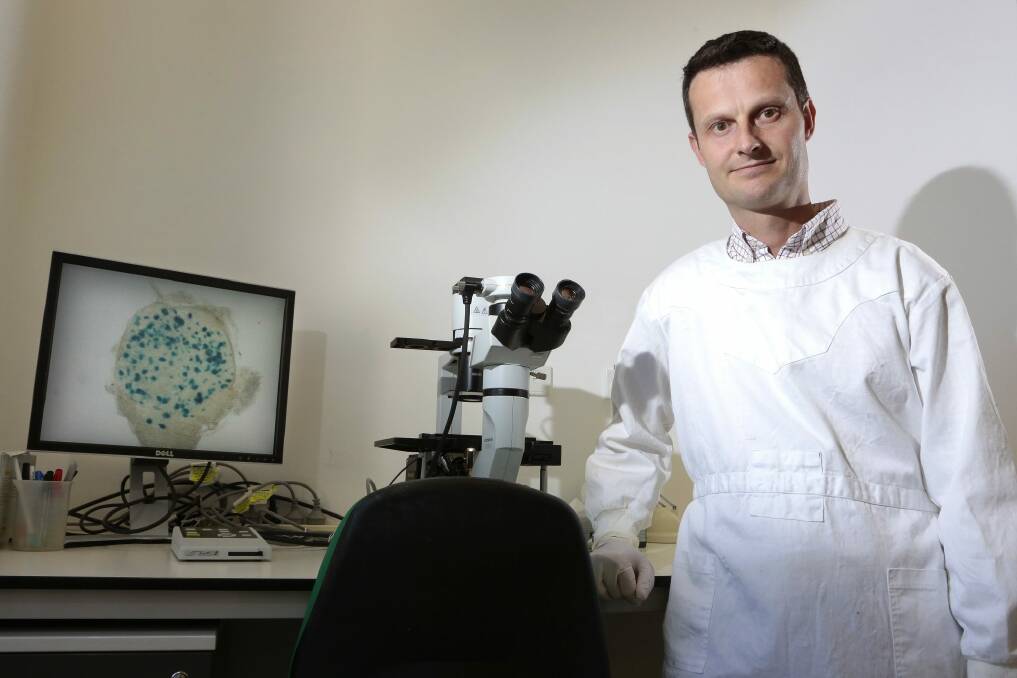 Associate professor David Tscharke in the virus culture room at the Australian National University School of Biology.   Photo: Jeffrey Chan