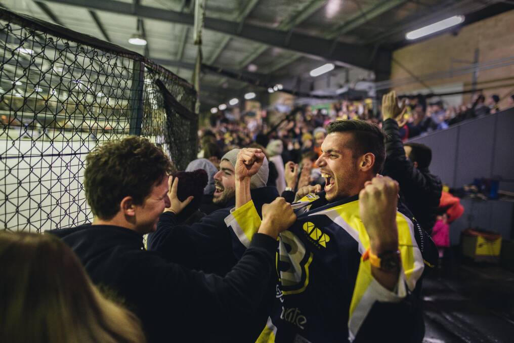 Brave fans going wild. Photo: Rohan Thomson