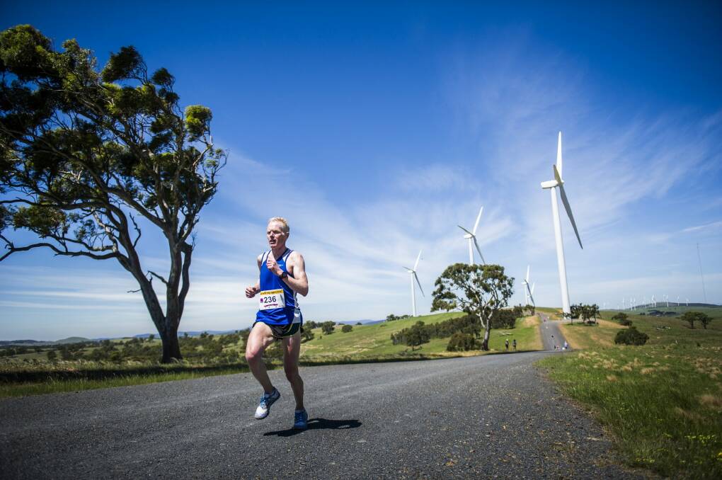 Runners during the Run with the Wind 10km fun run held at the Woodlawn Wind Farm. Photo: Rohan Thomson