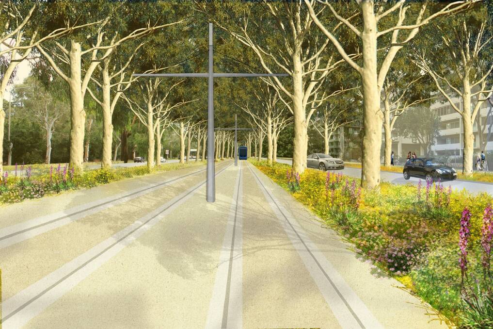 An artist's impression of Northbourne Avenue after the introduction of light rail.