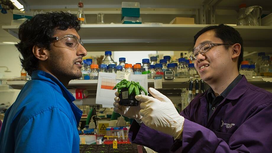 ANU researchers Diep Ganguly andDr Kai Xun Chan. Photo: Stuart Hay, ANU