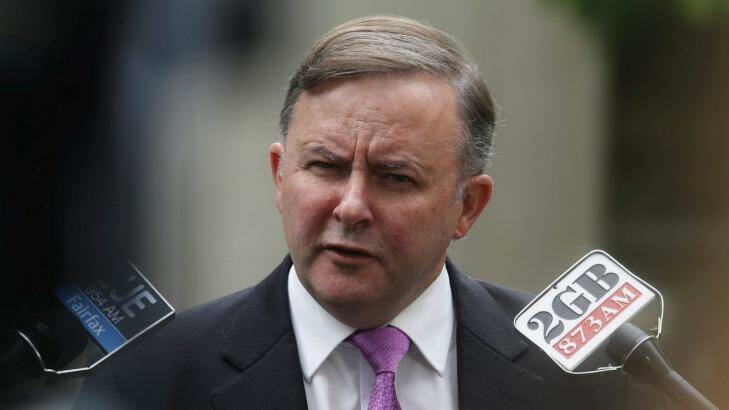 Anthony Albanese says the new terror laws needed "greater scrutiny" before they were passed. Photo: Dominic Lorrimer