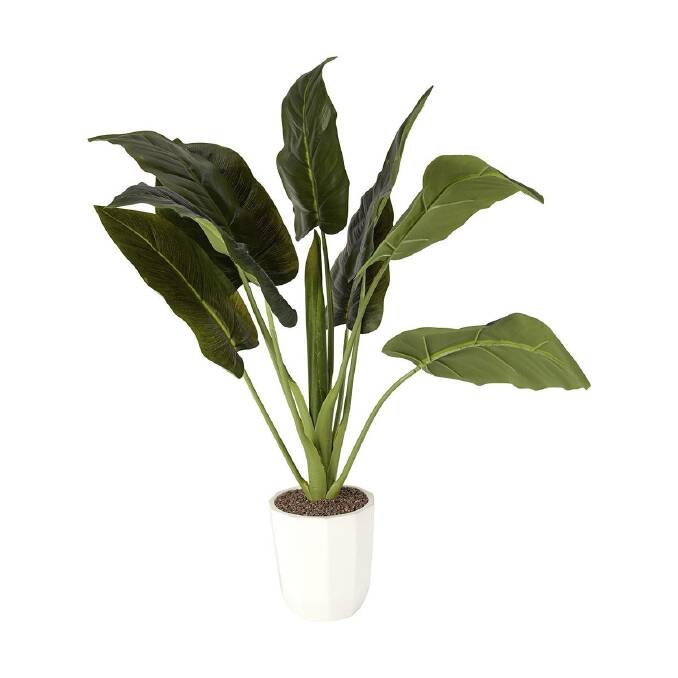 An artificial plant from Kmart. Photo: Kmart