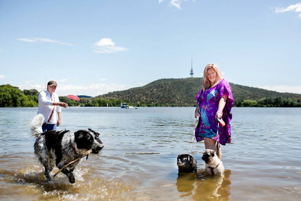 Belinda Barlow of Mawson (front), and Graeme Jackson of Phillip have only recently became Lake Burley Griffin regulars but now often enjoy cooling down in the water at Orana Bay, Yarralumla. Photo: Jamila Toderas