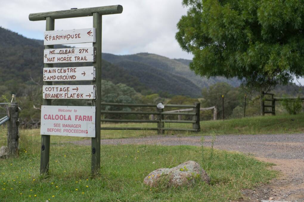 Caloola Farm, near Tharwa, is being sold after the leaseholder went into liquidation.  Photo: Jay Cronan