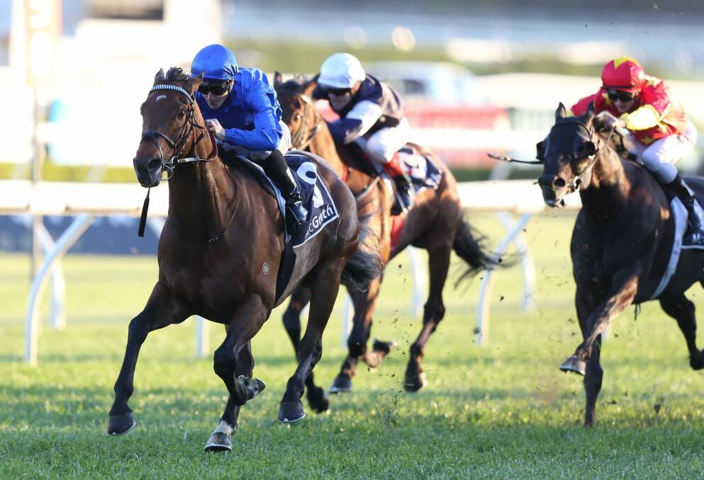 Group 1 winner Magic Hurricane has been nominated for the $200,000 Canberra Cup. Photo: bradleyphotos.com.au