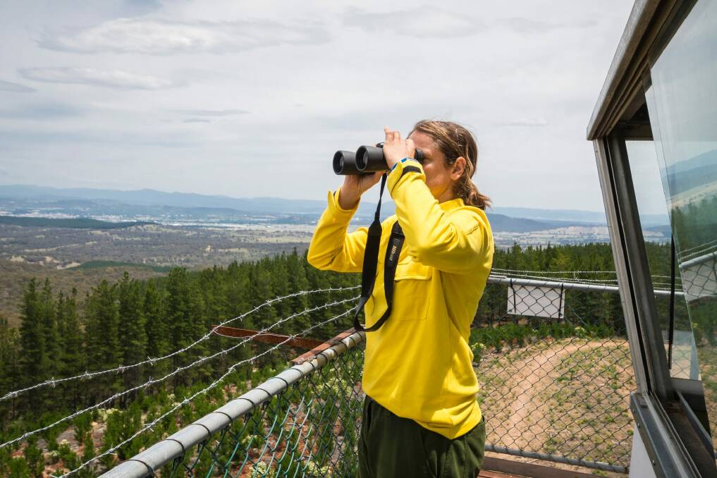 Fire management officer Dagmar Schade looking out for potential fires in Kowen Forest. Photo: Dion Georgopoulos