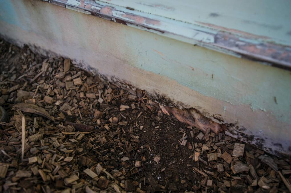 Exposed asbestos that was disintegrating on one of the houses that used to take up the site. Photo: Jamila Toderas