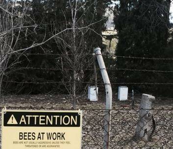 Where in Canberra? this week. Congratulations to Gareth Walker, of Giralang, who was the first to correctly identify last week's photo of Apiculture Society beehives. Photo: Nicholas Mortimer