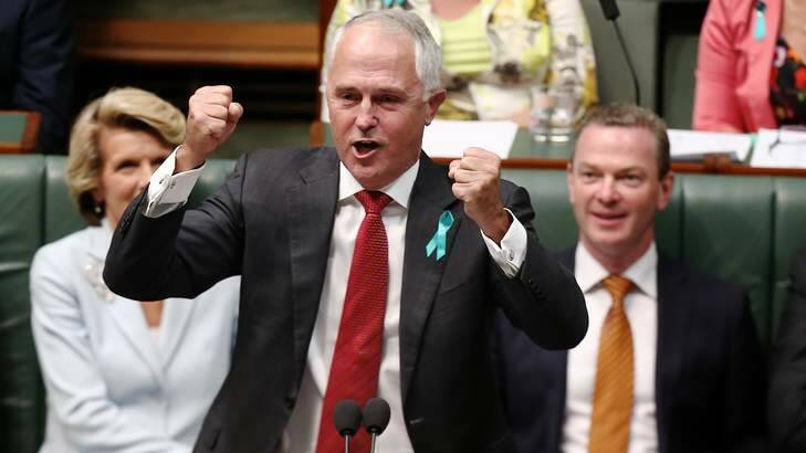 Communications Minister Malcolm Turnbull has gently mocked the reintroduction of imperial honours in a speech at Parliament House. Photo: Alex Ellinghausen