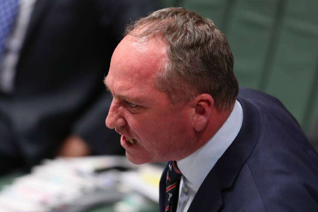 Deputy Prime Minister Barnaby Joyce is under fire. Photo: Andrew Meares