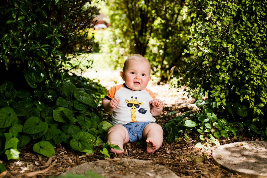 Lachlan Alexander Paterson, 7 months. Lachlan was the second top baby name in Canberra for boys born in 2016.  Photo: Jamila Toderas