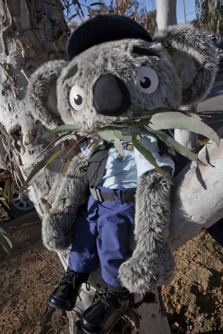 Constable Kenny is getting his own tree.  Photo: ACT Policing