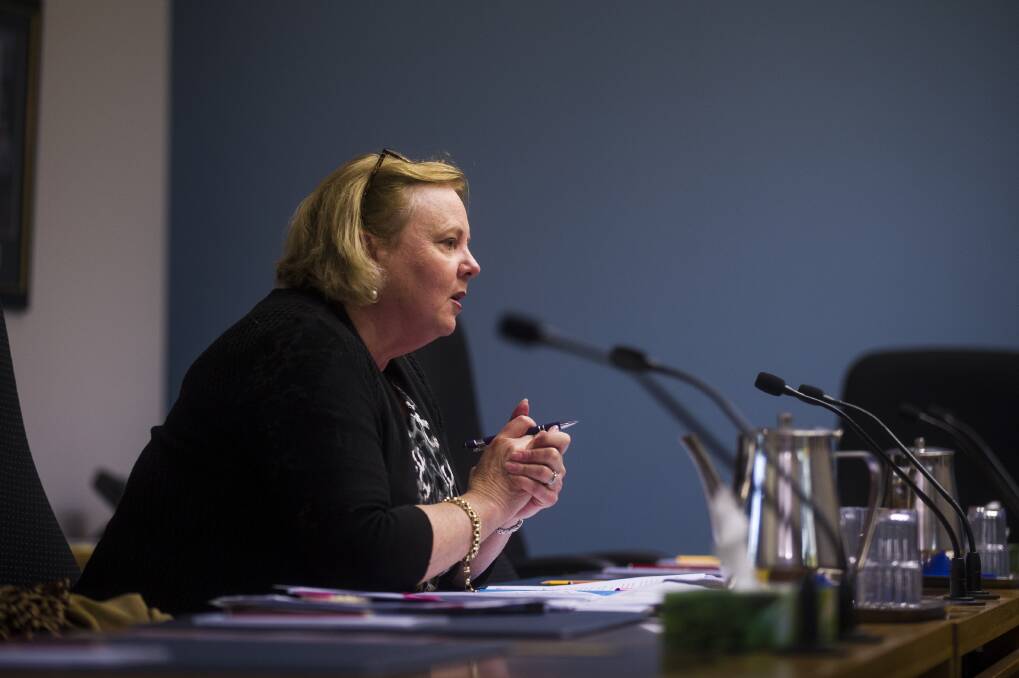 Palliative Care ACT chief executive Glenda Stevens speaks to the panel at the inquiry. Photo: Dion Georgopoulos