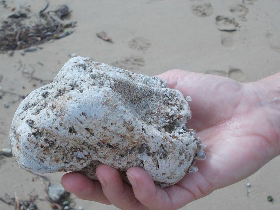 Pumice collected on the beach. Photo: Supplied