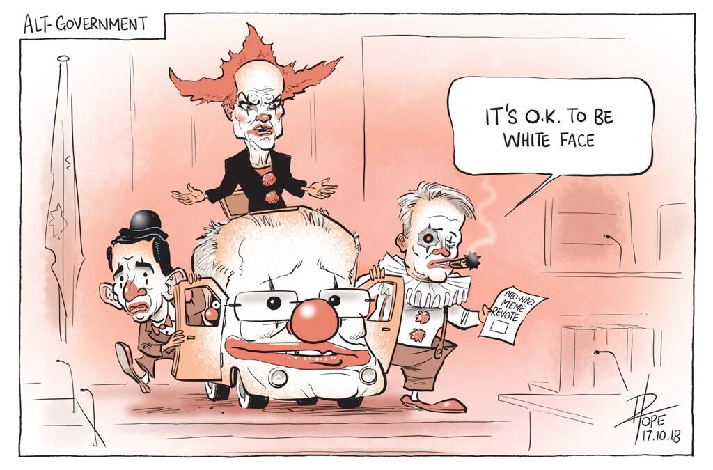 The Canberra Times' editorial cartoon for Wednesday October 17, 2018. Photo: David Pope