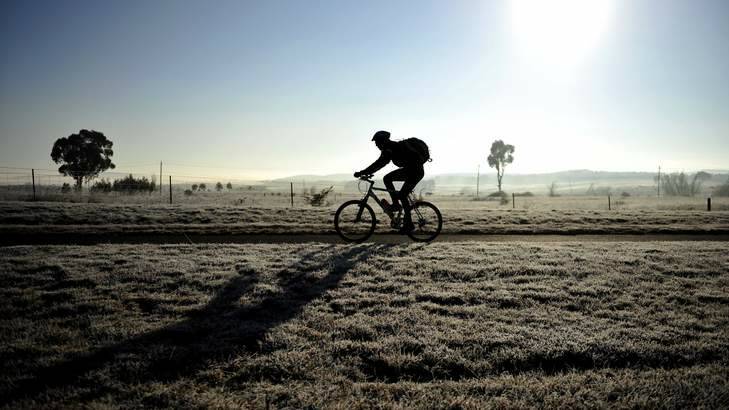 A frosty morning is on the cards for Melbourne Cup day in Canberra. Photo: Jay Cronan