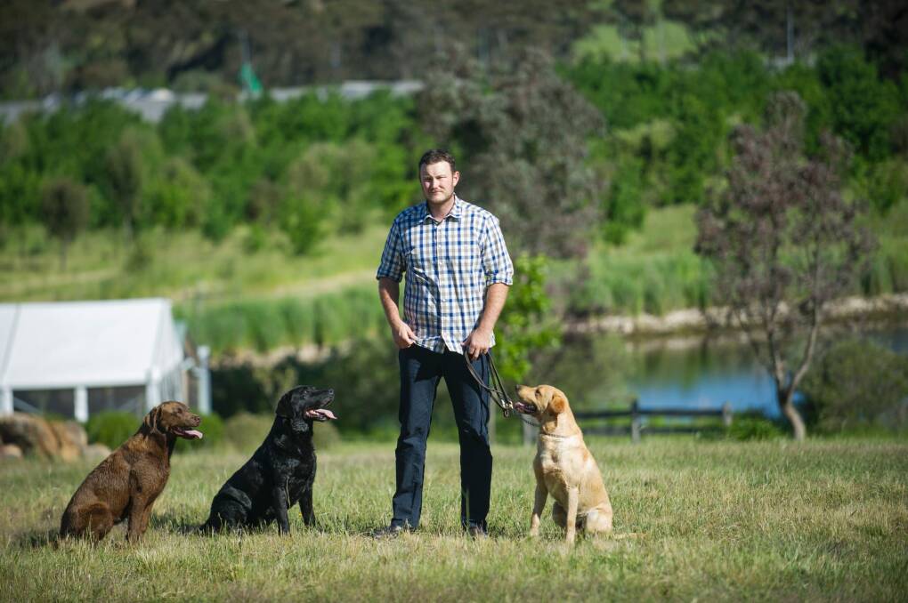 Jayson Mesman is the new owner of Canberra's only truffle farm, purchasing it from the founder, Sherry McArdle-English. He is pictured on the farm with his truffle hunting dogs, Willow, Samson and Dingo. Photo: ELESA KURTZ Photo: Elesa Kurtz