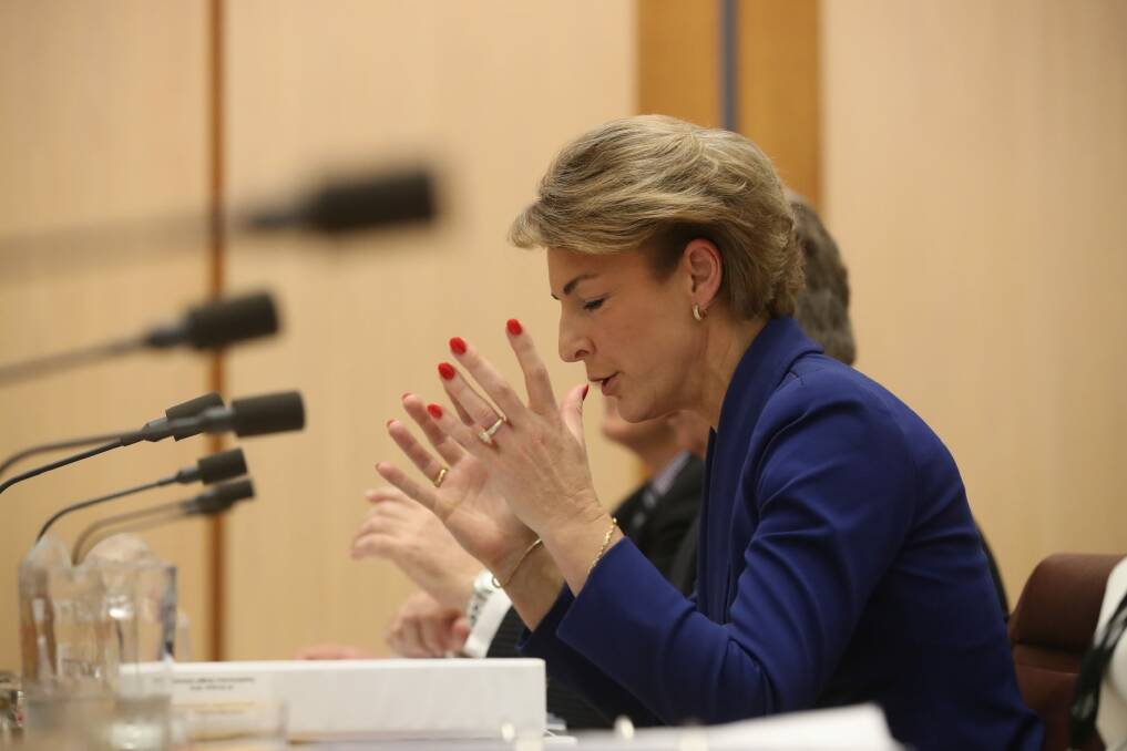 Employment Minister Michaelia Cash denies she misled Parliament about her office's involvement after a staffer admitted to tipping off the media about a police raid on the Australian Workers Union. Photo: Andrew Meares