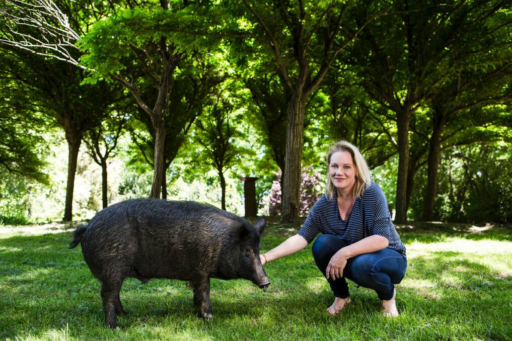 Mona Farm and Historic Home owner Rose Deo with Daddy Pig, the property's resident pet porker. Photo: Jamila Toderas