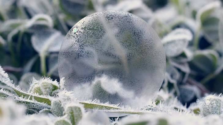 Bubble Freeze, winner of the 2012 Canberra Times' wither photo competition. Photo: Debbie Hartley