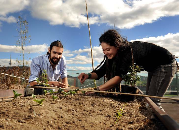 Dan Stanton and Karina Bontes Forward tend to the garden on the rooftop of Lena Karmel Lodge at the ANU. Photo: Colleen Petch
