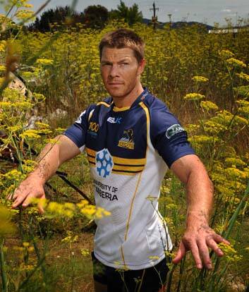 Back from the scrap heap &#8230; former Wallaby Clyde Rathbone is back with the Brumbies. Photo: Colleen Petch