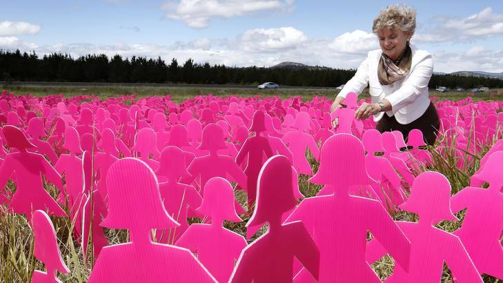 Lucy Costas from Carwoola puts a pink lady in the field of 6,000 Pink Lady silhouettes at the National Arboretum. Photo: Jeffrey Chan
