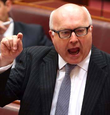 "What you are viewing  on the internet is not what we are interested in": George Brandis. Photo: Andrew Meares