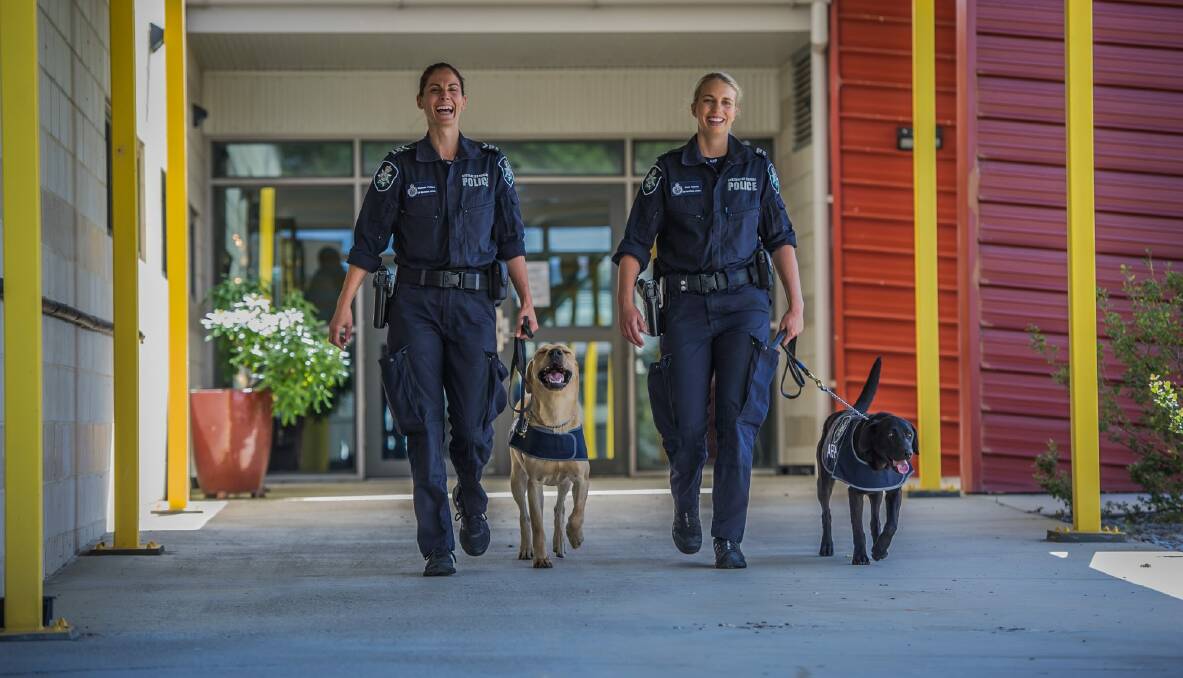 AFP Demonstration of detection dogs. Remi Francis with Alpha and Hannah Phillip with Ishta Photo: Karleen Minney