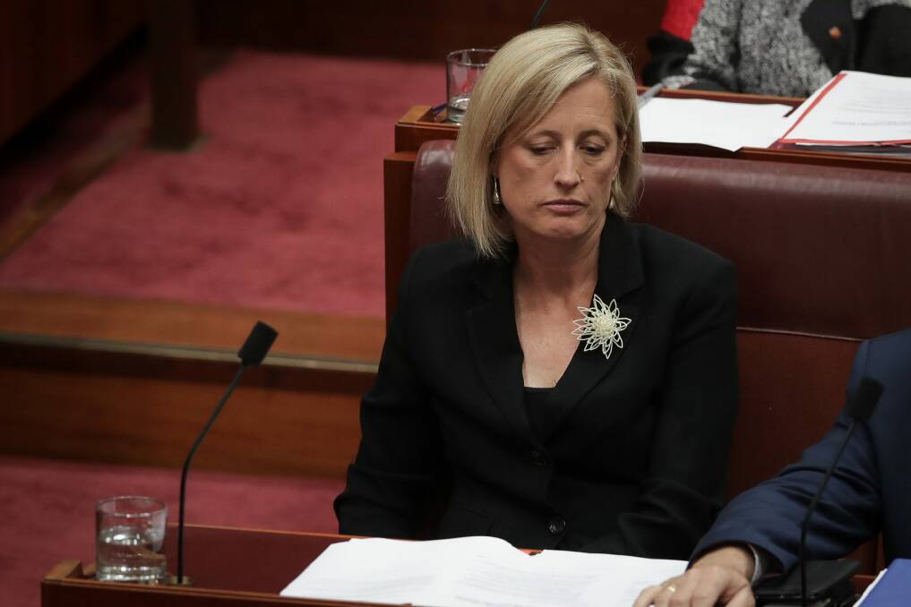 Labor's ACT senator, Katy Gallagher, referred herself to the High Court this week to determine whether she was eligible to be elected. Photo: Alex Ellinghausen