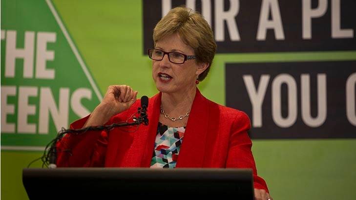 Christine Milne has denied a deal has been struck with the government over pensions. Photo: Meredith O'Shea