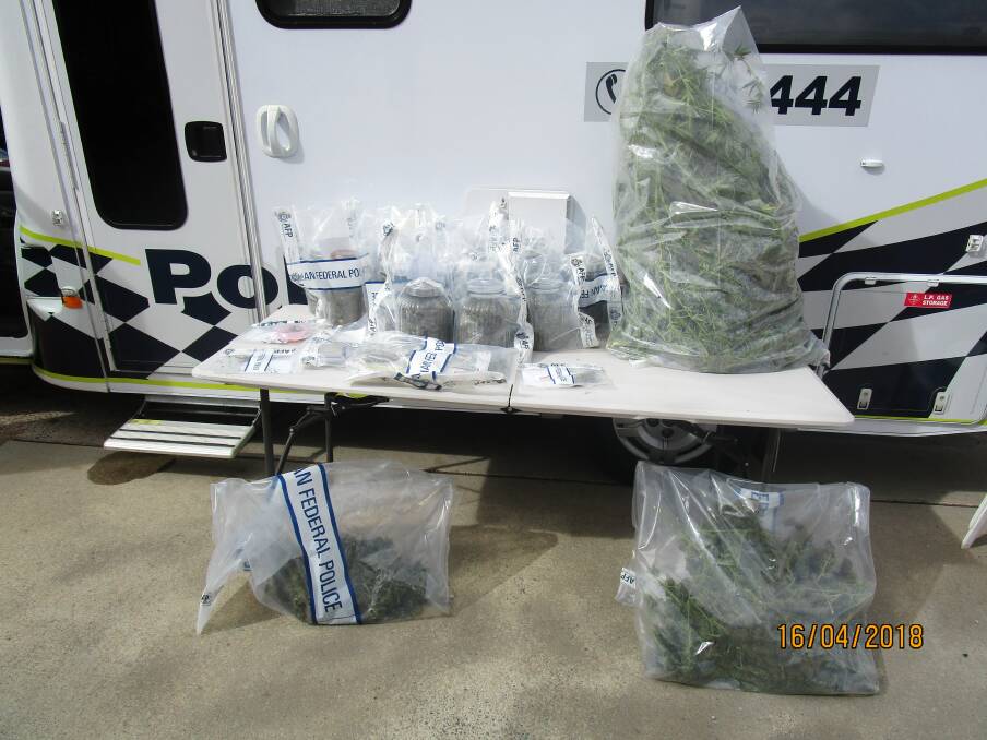 Some of the cannabis seized by police in a number of searches across Canberra last week. Photo: ACT Policing