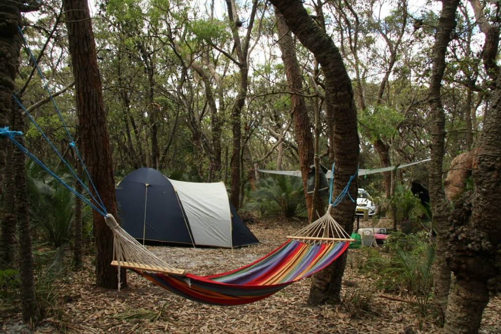 A secluded camp site at Mimosa in NSW. Photo: Kerryn Burgess
