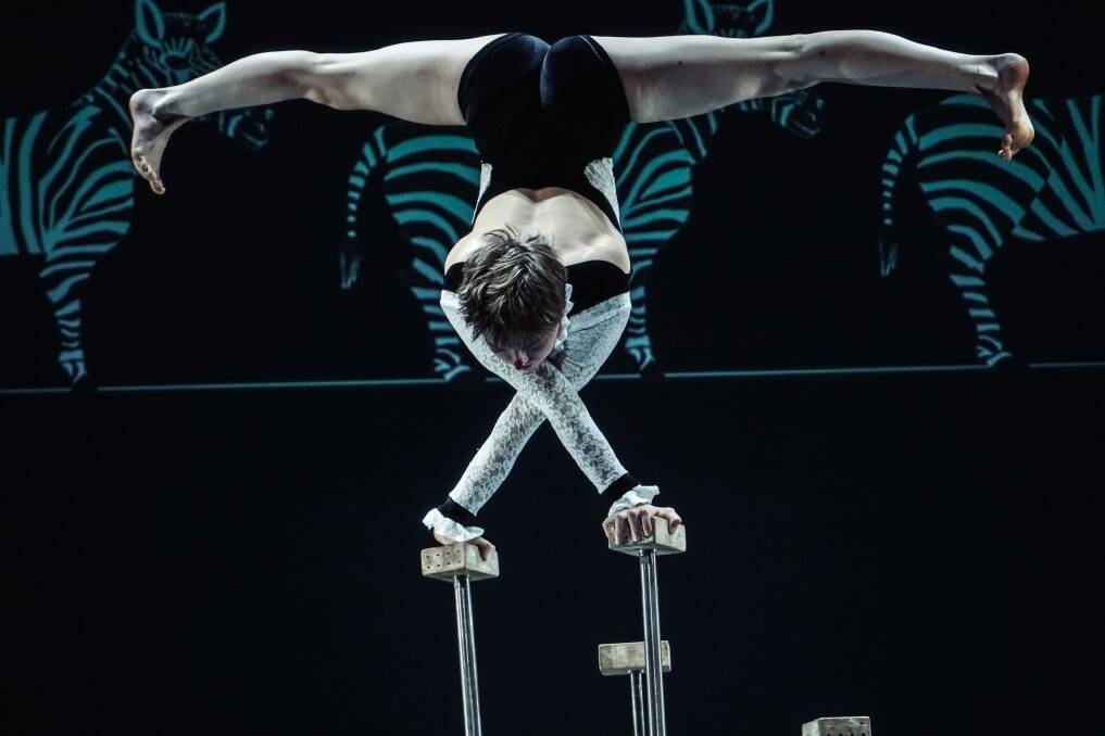 Flexibility and balance in Circa's Carnival of the Animals. Photo: David James McCarthy