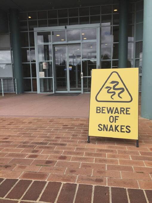 A sign telling workers to be careful because dangerous reptiles are about. Photo: Supplied