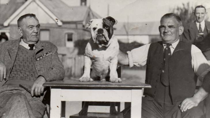 A photo from a past Queanbeyan exhibition shows a dog show winner. The men (and dog) in the pictures have not as yet been identified. <i>Photo courtesy of Queanbeyan Museum</i>