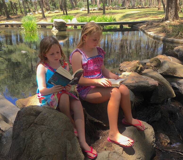 John Knight park is a cool place to read a book on a hot summer’s day. Photo: Tim the Yowie Man