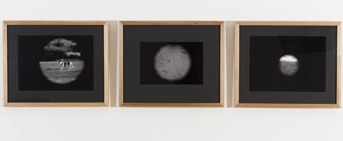 Pinhole photographs by Andrew Moynihan.  Photo: Supplied