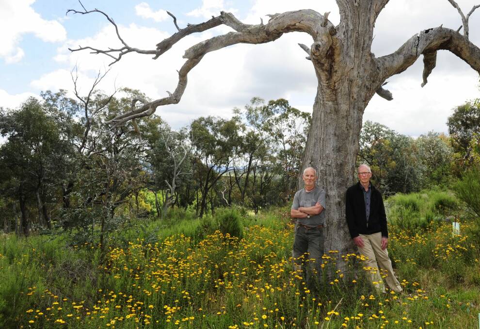  From left, Red Hill Regenerator Paul Ratcliffe and Stirling Park volunteer co-ordinator Peter McGhie.  Photo: Melissa Adams