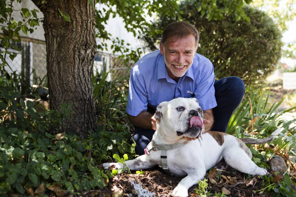 RSPCA Canberra shelter manager Simon Yates, and Stubbs the 8-year-old Australian bulldog. Dogs like bulldogs are more susceptible to heat stress. Photo: Jamila Toderas