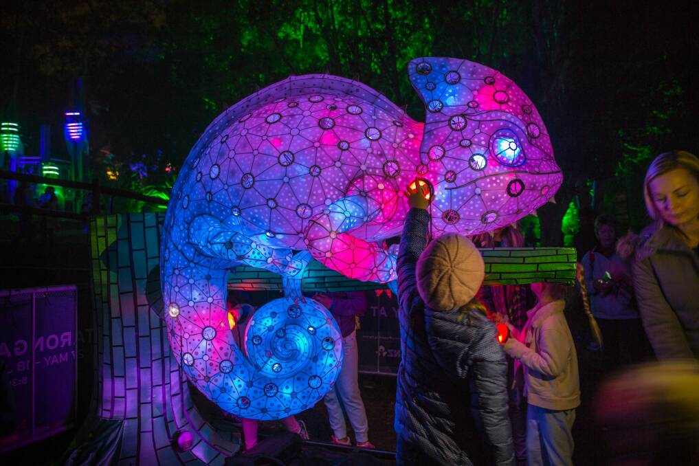The large-scale chameleon lantern by Ample Projects has been brought to Canberra by Canberra Centre as part of Enlighten. Photo: Supplied