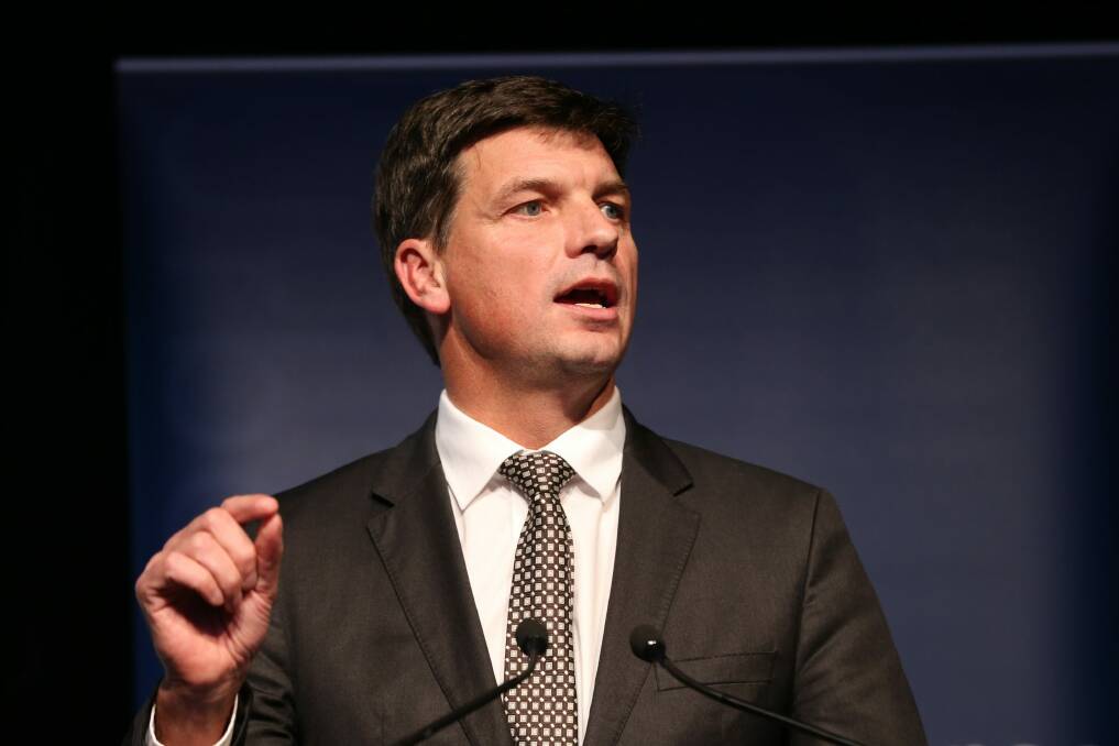 Assistant Minister for Digital Transformation Angus Taylor says the government is reviewing its IT projects. Photo: Louise Kennerley
