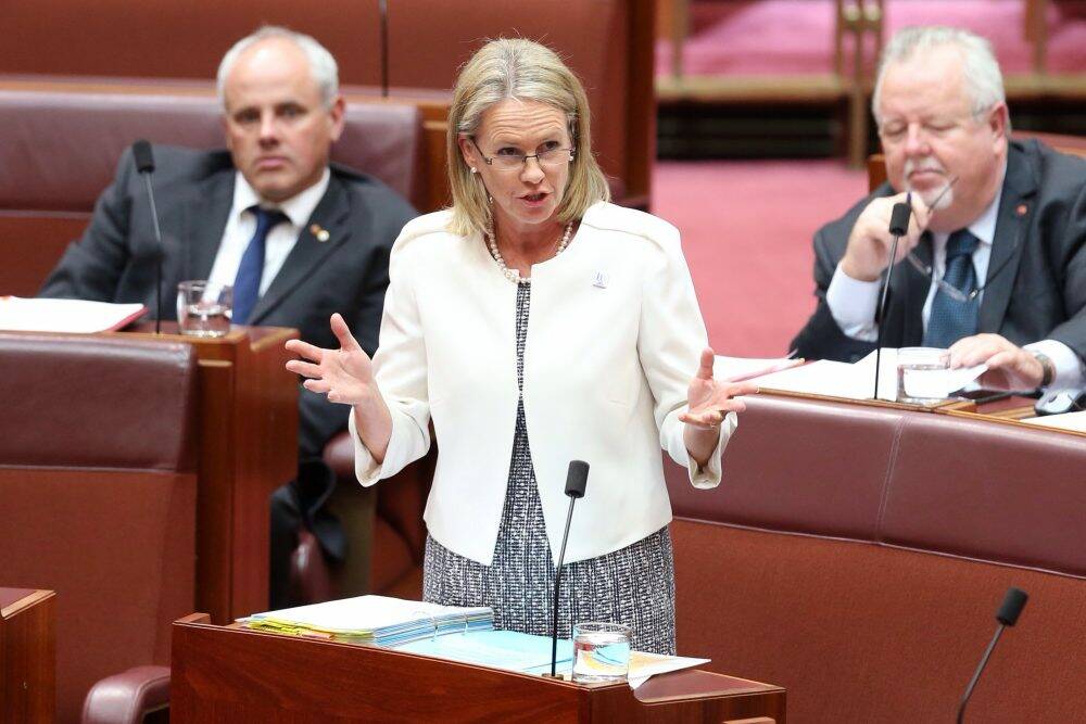Senator Fiona Nash’s chief of staff (a junk food lobbyist) insisted on the removal of a government website with food star ratings based on health information.  Photo: Andrew Meares